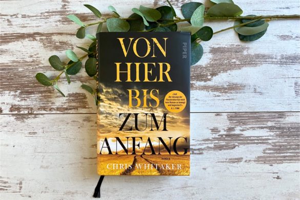 Beitragsbild zu Von hier bis zum Anfang von Chris Whitaker