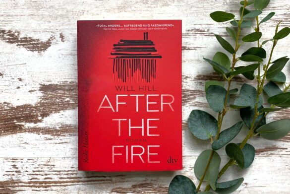 Rezension zu After the Fire von Will Hill