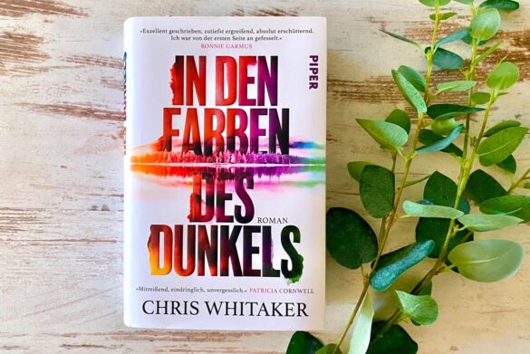 Rezension zu In den Farben des Dunkels von Chris Whitaker