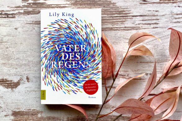 Rezension zu Vater des Regens von Lily King