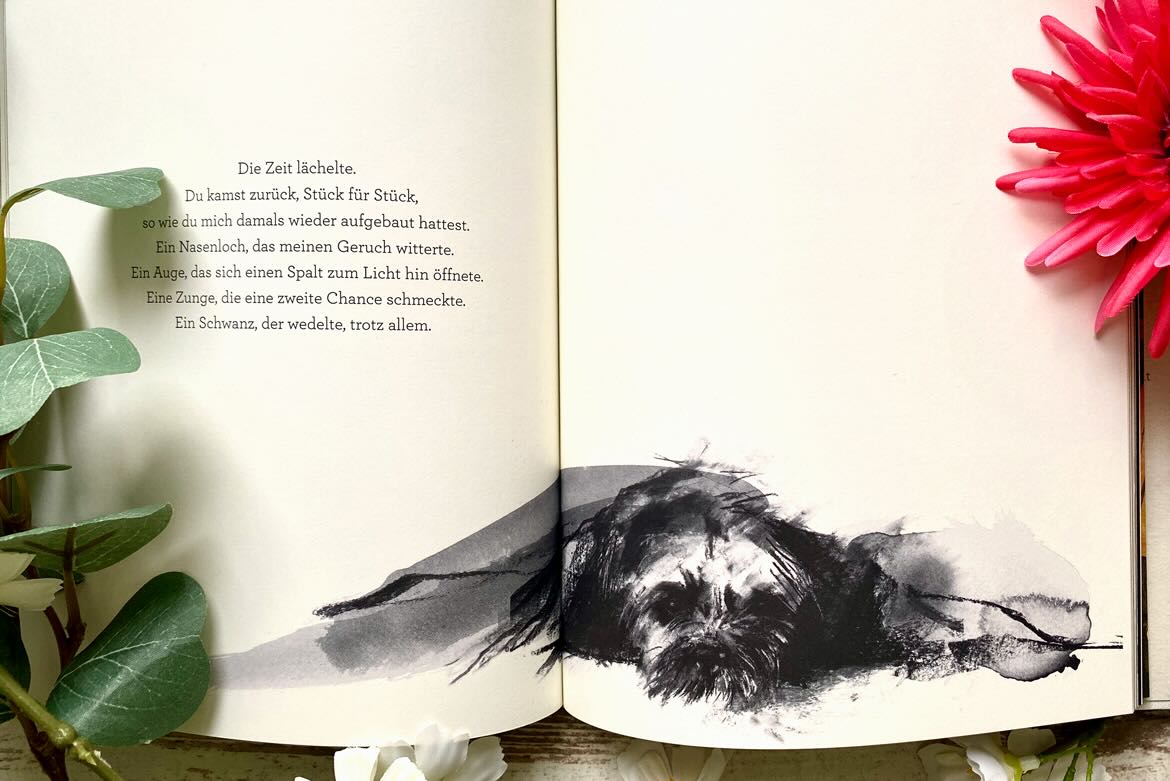 Illustration in "Keira & Ich" von Noel Fitzpatrick