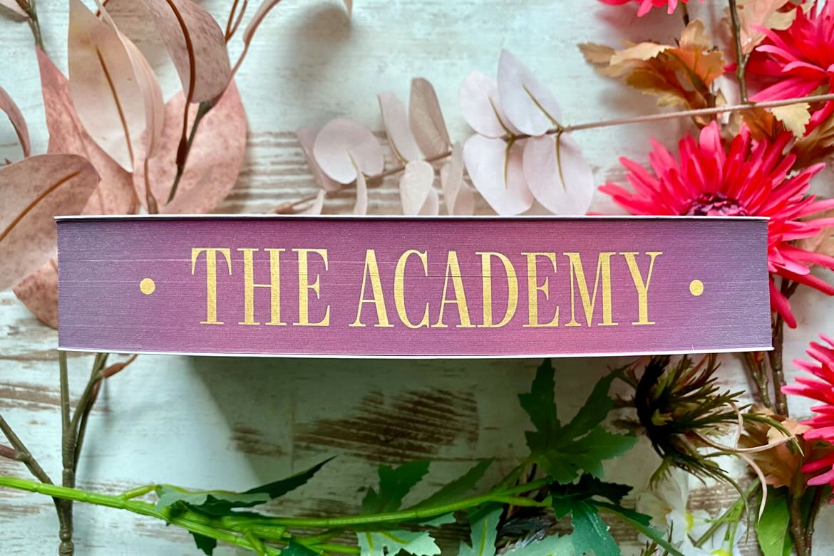 Farbschnitt des Romans The Academy von Elin Hilderbrand und Shelby Cunningham