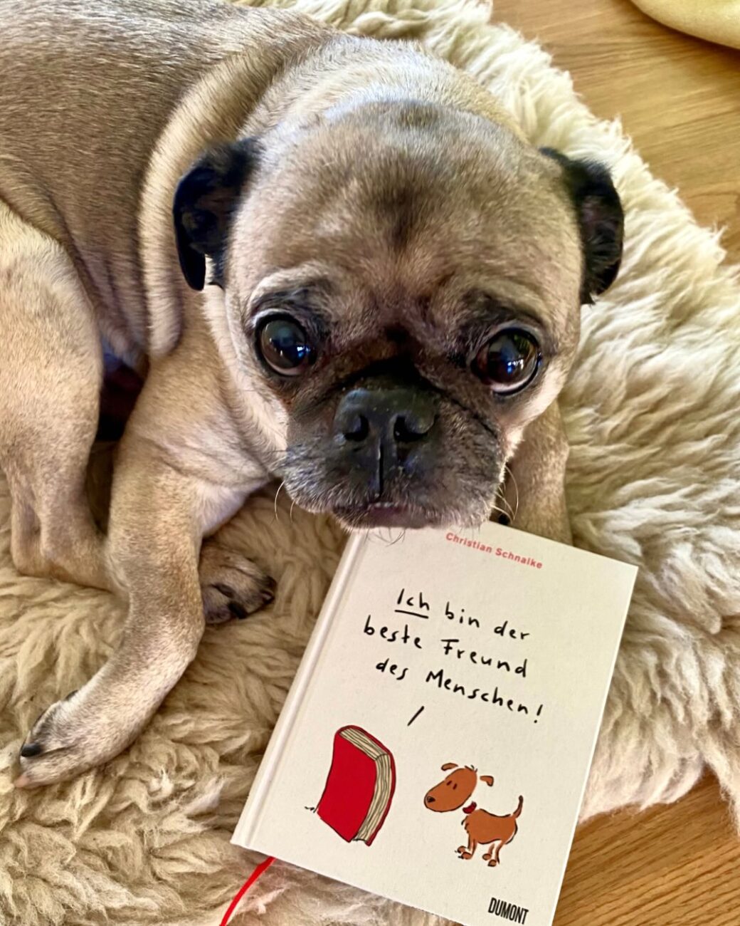 Herrmann liest Ich bin der beste Freund des Menschen