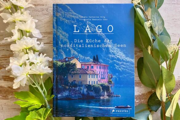 Beitragsbild zur Rezension von Lago von Catherine Roig und Emanuela Cino